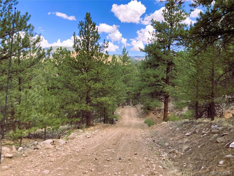 Cotopaxi 40-acre mountain haven with well and solar trailer