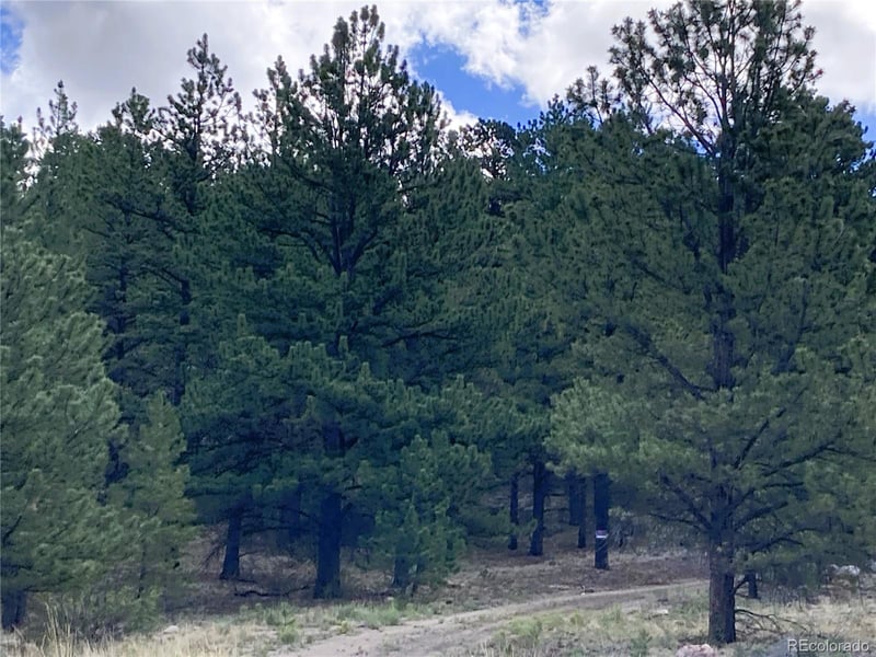 Cotopaxi 40-acre mountain haven with well and solar trailer