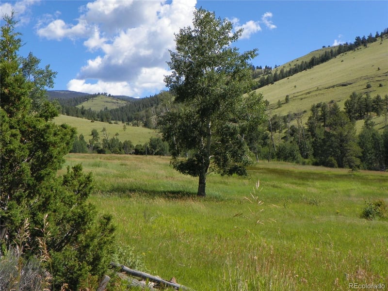 Expansive Saguache Mountain Land with Creek
