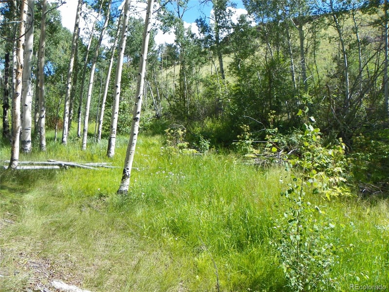 Expansive Saguache Mountain Land with Creek