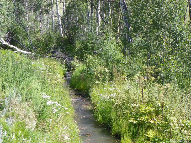 Expansive Saguache Mountain Land with Creek