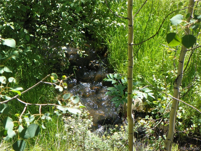 Expansive Saguache Mountain Land with Creek