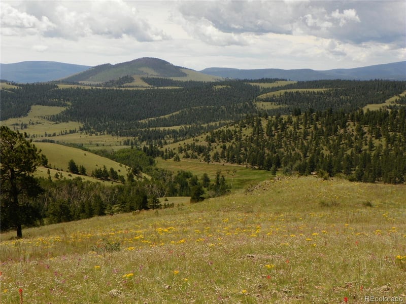 Expansive Saguache Mountain Land with Creek